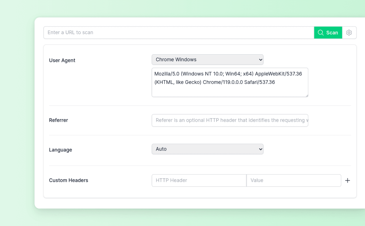 Tiny Scan URL Input and Parameter Configuration