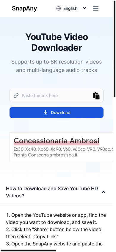 the mobile screenshot of snapany.com