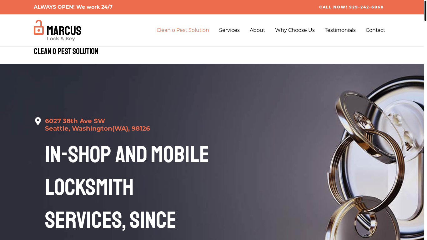 the desktop screenshot of cleanopestsolution.in
