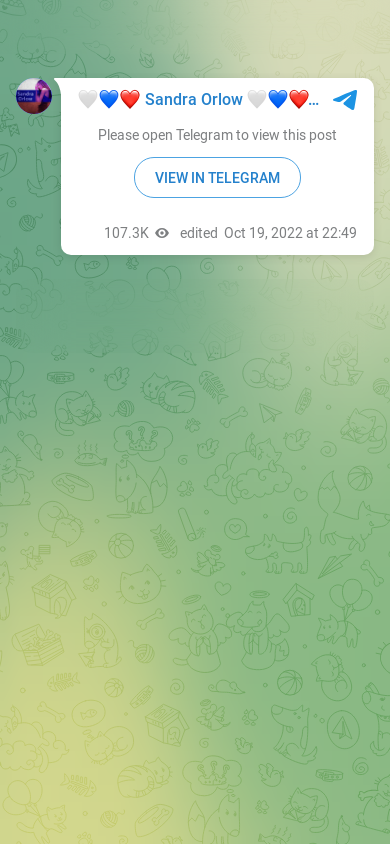 the mobile screenshot of t.me