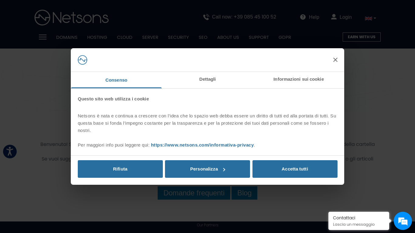 the desktop screenshot of www.netsons.com
