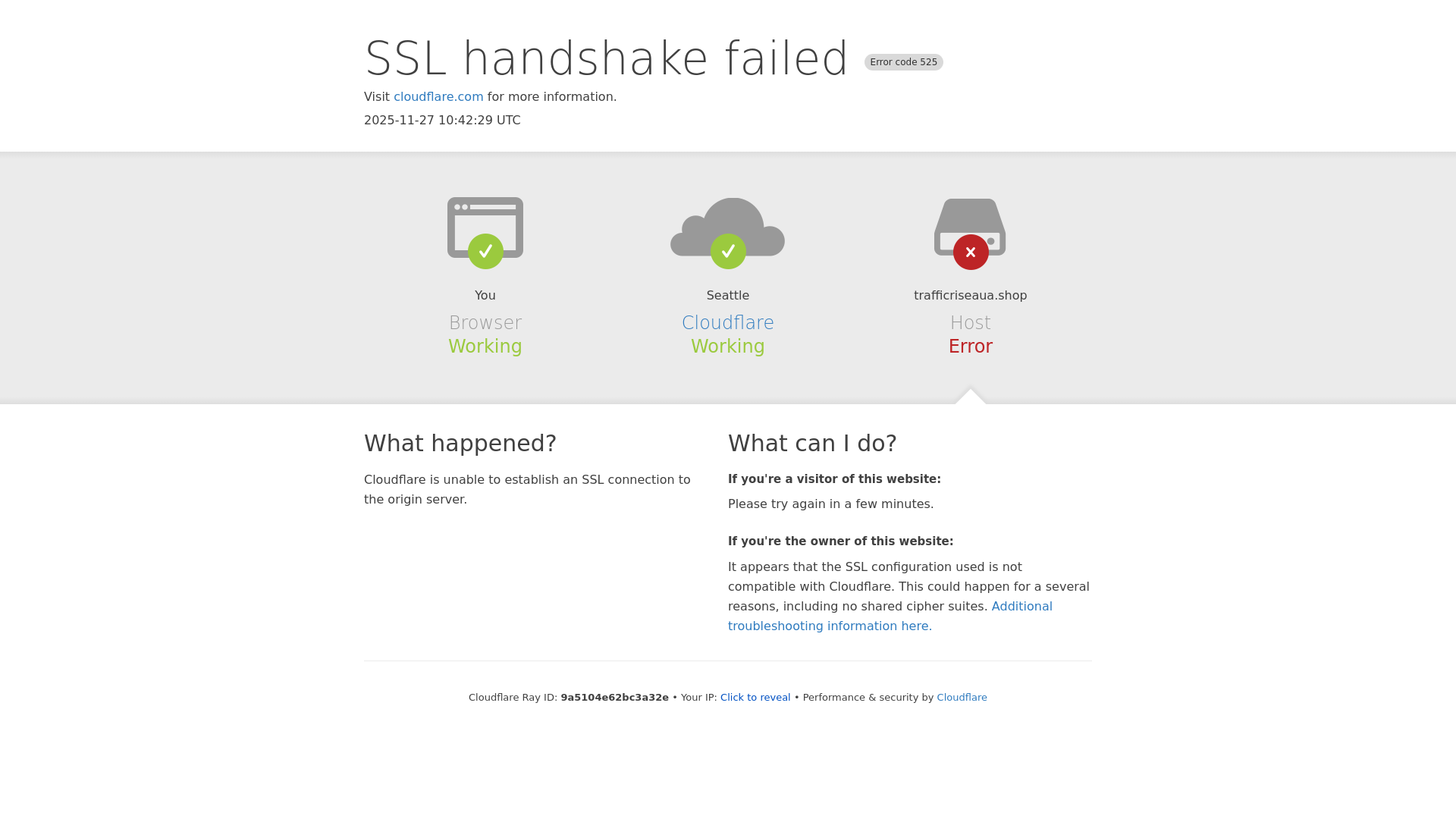 the desktop screenshot of trafficriseaua.shop