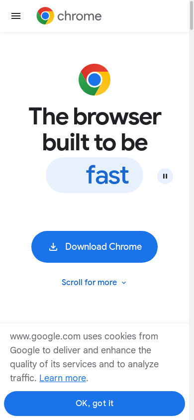 the mobile screenshot of www.google.com