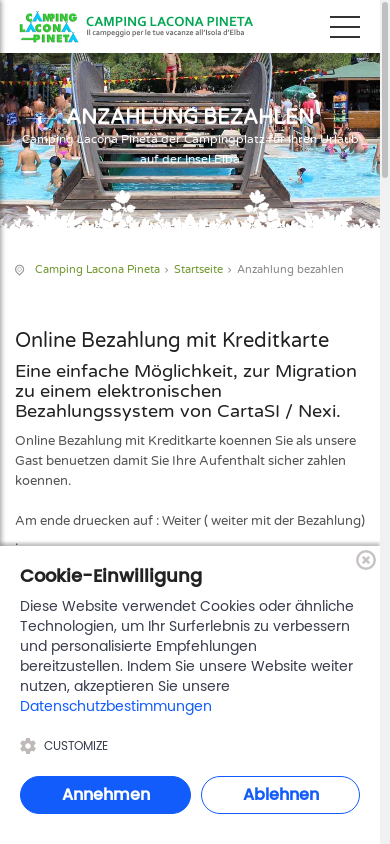 the mobile screenshot of www.campinglaconapineta.com