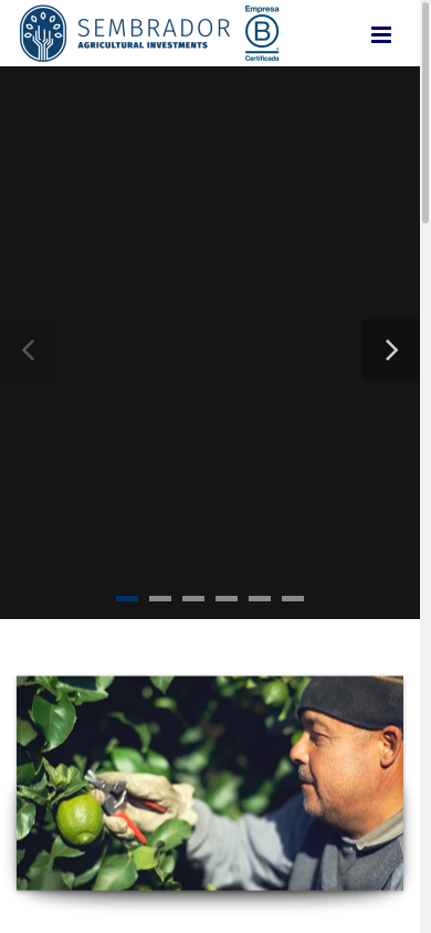 the mobile screenshot of www.sembradorcapital.com