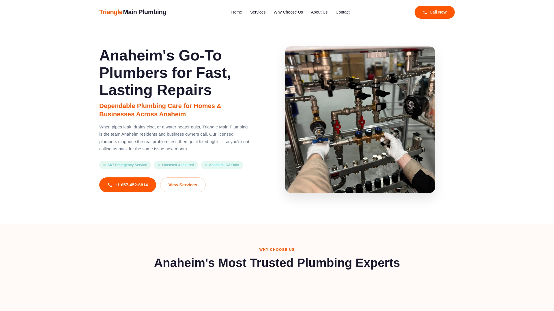 Triangle Main Plumbing | Expert Plumbing Services in Anaheim, CA - URL ...