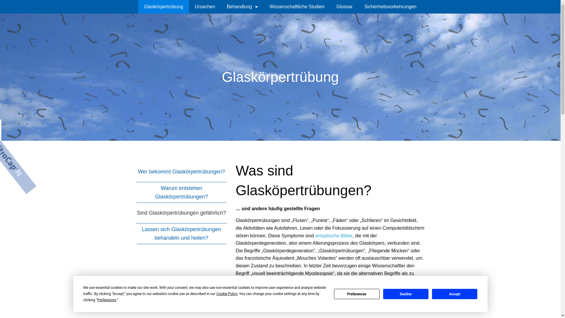 the desktop screenshot of glaskoerpertruebung-mouches-volantes.ch