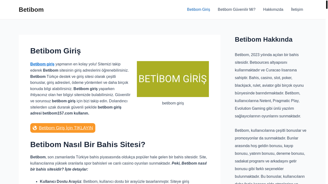 the desktop screenshot of girisbetibom.com