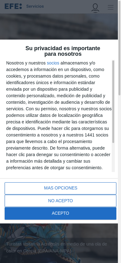 the mobile screenshot of efs.efeservicios.com