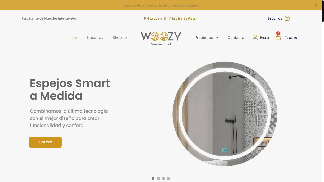 the desktop screenshot of woozysmart.com