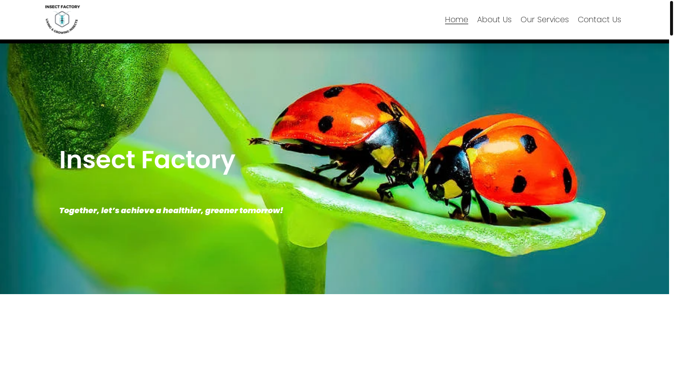 the desktop screenshot of insectfactorybw.com