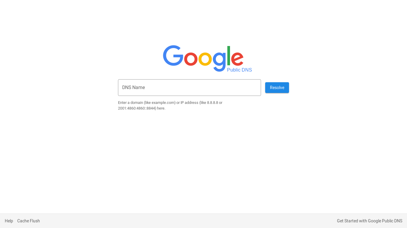 the desktop screenshot of dns.google