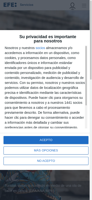 the mobile screenshot of efs.efeservicios.com