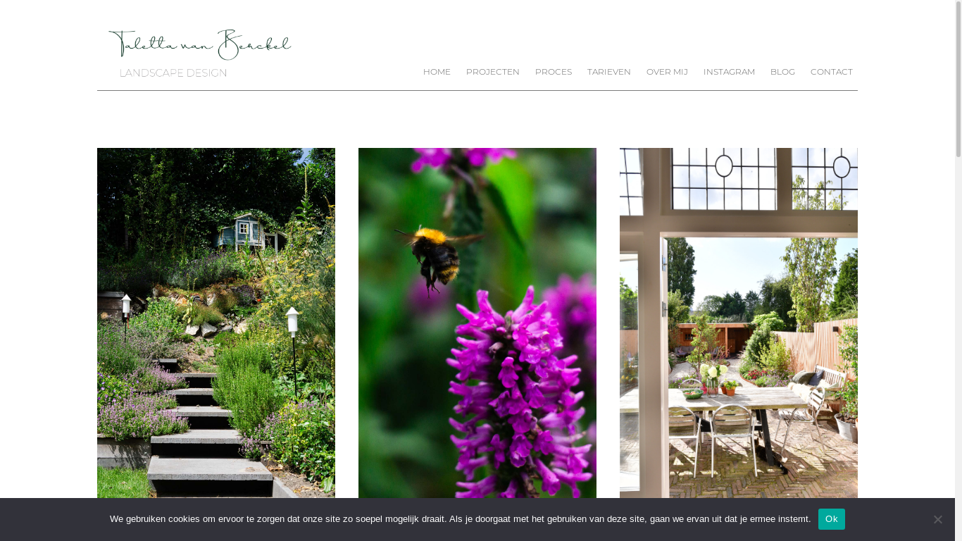 the desktop screenshot of talettavanberckel.nl