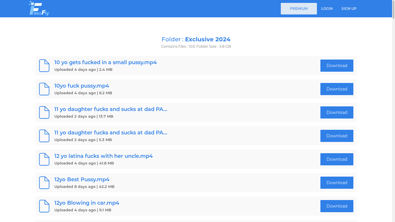 the desktop screenshot of filesfly.cc