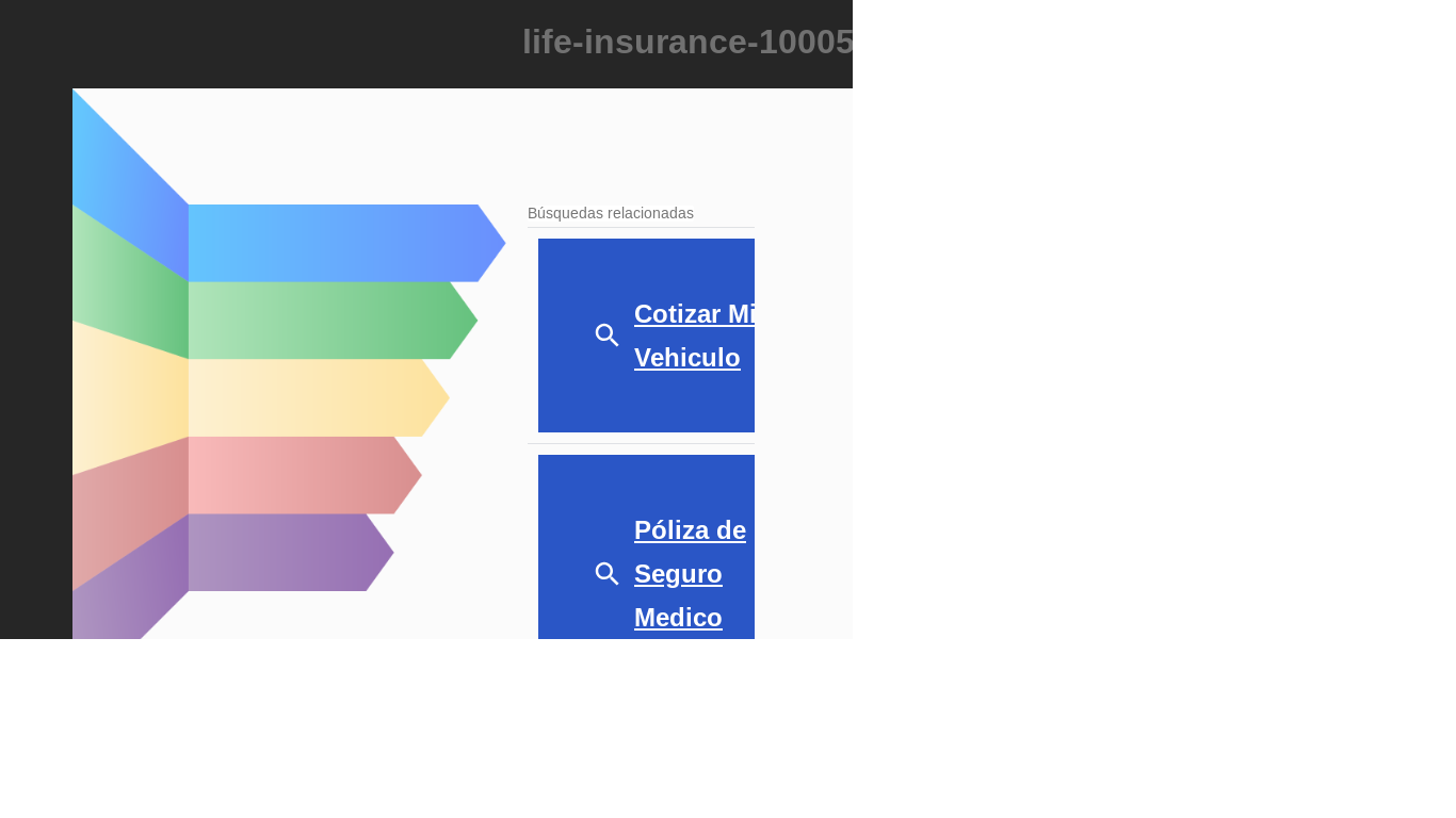 the desktop screenshot of life-insurance-10005.site