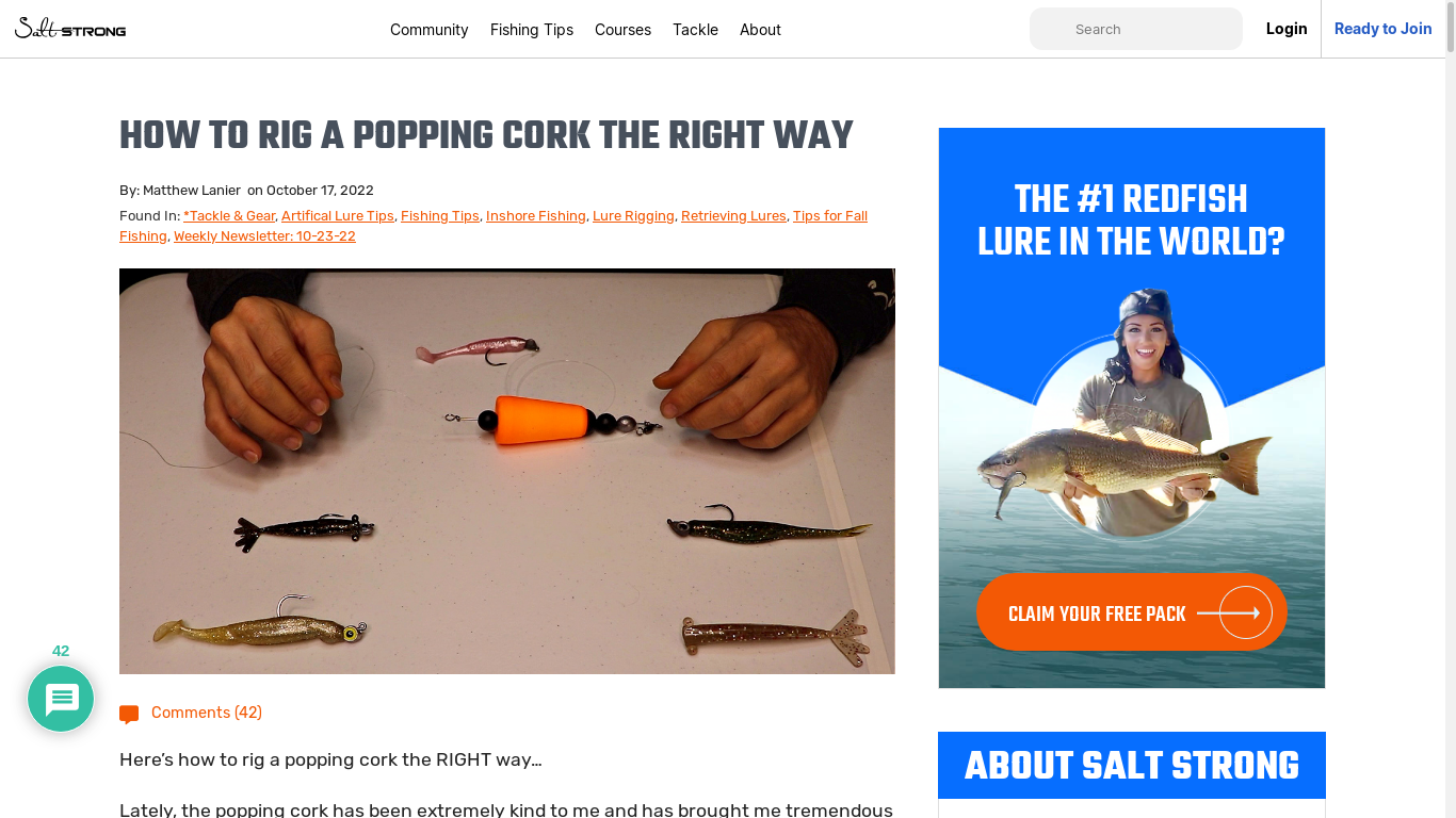 the desktop screenshot of www.saltstrong.com