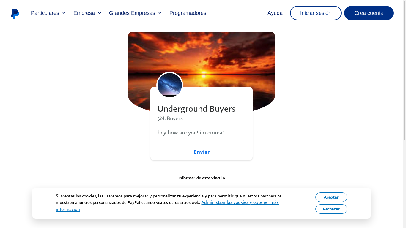 the desktop screenshot of www.paypal.com