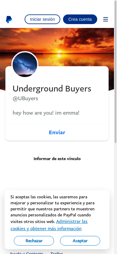 the mobile screenshot of www.paypal.com