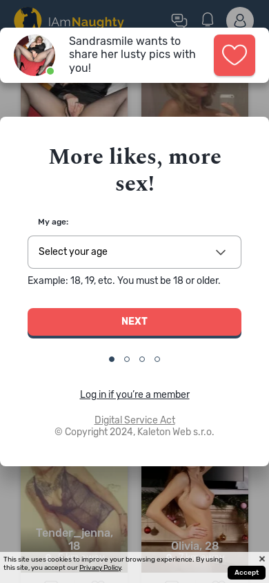 the mobile screenshot of www.iamnaughty.com