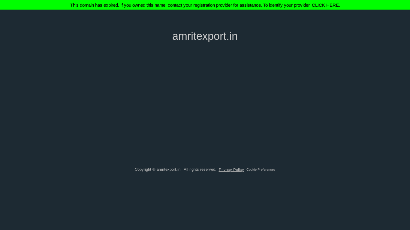 the desktop screenshot of amritexport.in