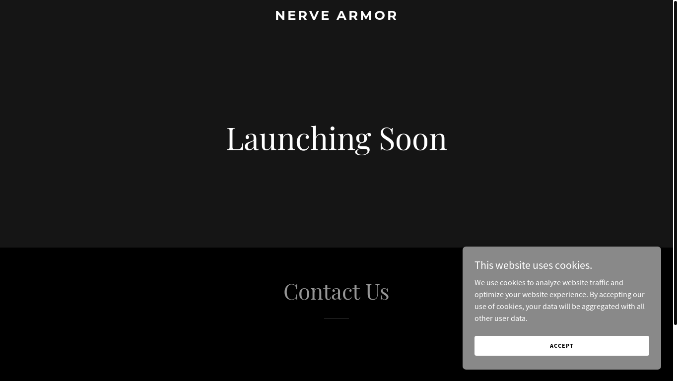 the desktop screenshot of en-nervearmor.com