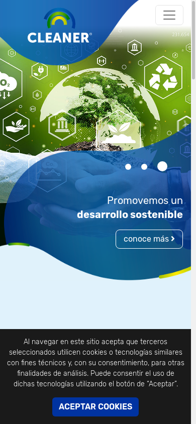 the mobile screenshot of cleaner.cl
