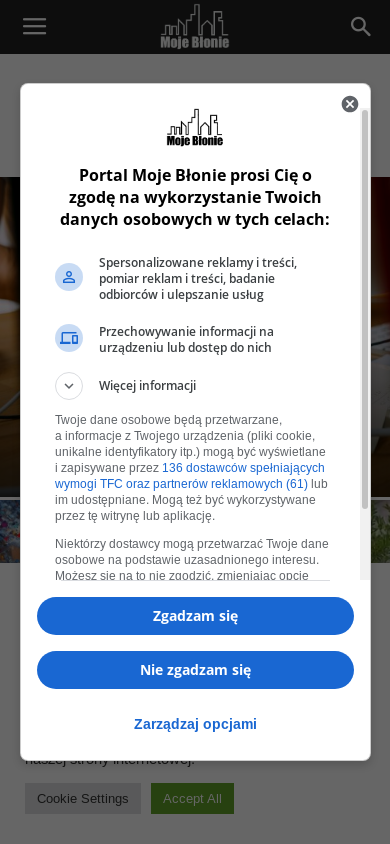 the mobile screenshot of mojeblonie.pl